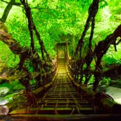 秘境巡りのトラベラー