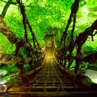 秘境巡りのトラベラー