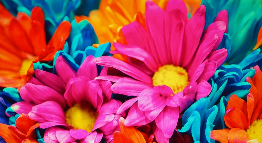 ブルーライトカット画像